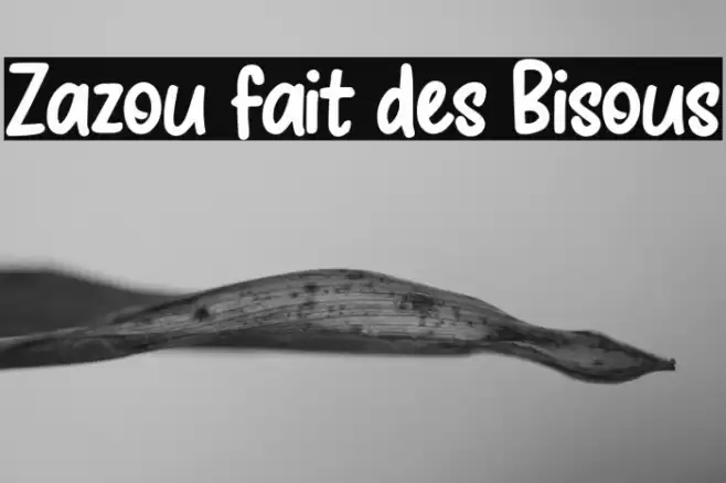 Zazou fait des Bisous Font examples