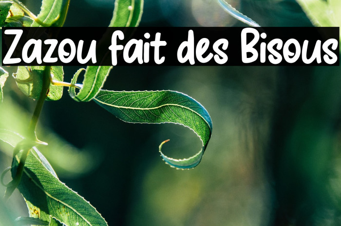 Zazou fait des Bisous Example 2