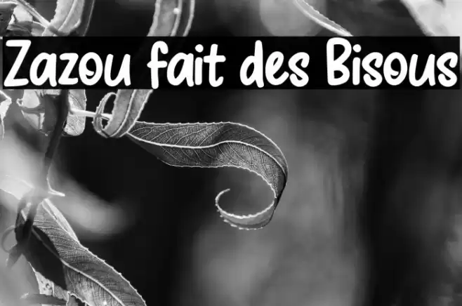 Zazou fait des Bisous Font examples