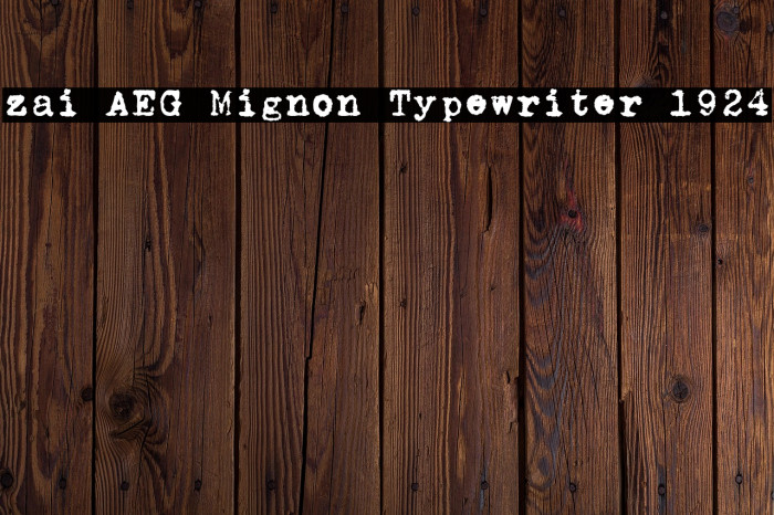 zai AEG Mignon Typewriter 1924 Example 2