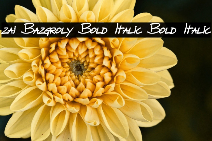 zai Bazgroly Bold Italic Bold Italic Example 2