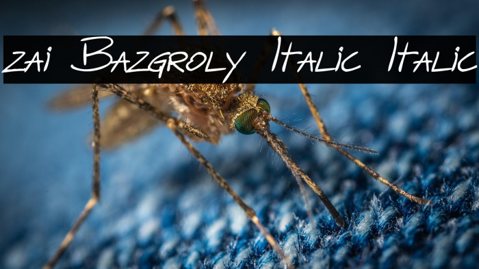 zai Bazgroly Italic Italic Example 2
