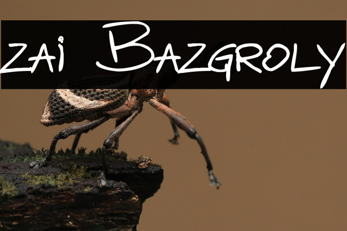 zai Bazgroly Example 1