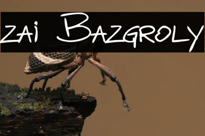 zai Bazgroly Example 1