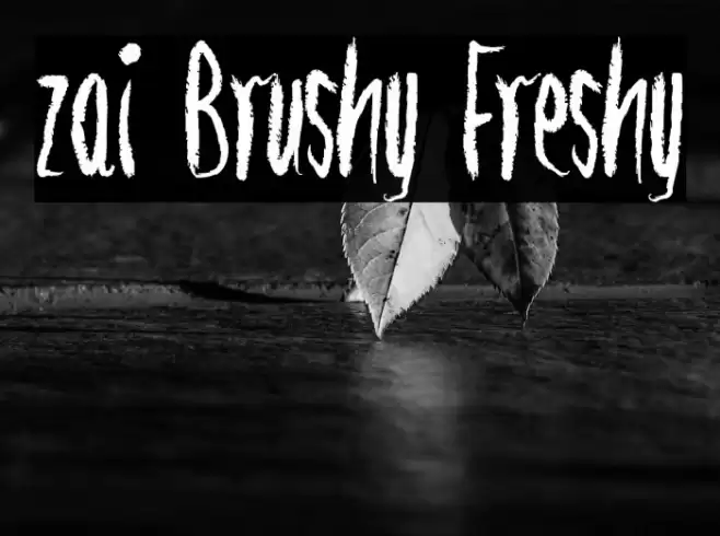 zai Brushy Freshy Font examples