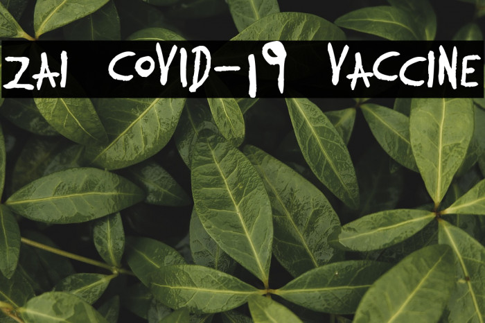 zai COVID-19 VaCcine Example 1