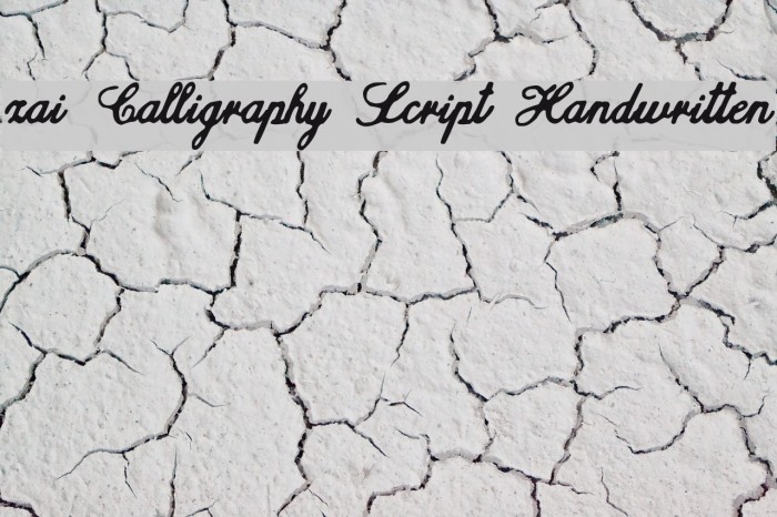 zai Calligraphy Script Handwritten Polices examples