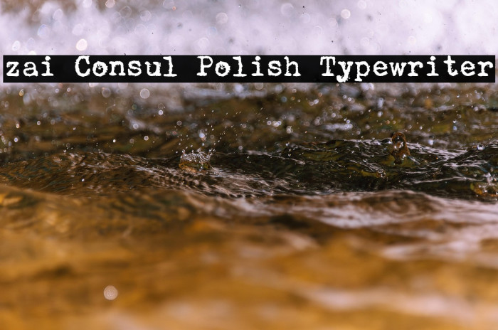 zai Consul Polish Typewriter Example 2