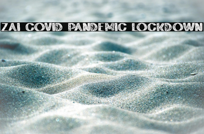 zai Covid Pandemic Lockdown Example 1