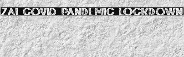 zai Covid Pandemic Lockdown Example 3