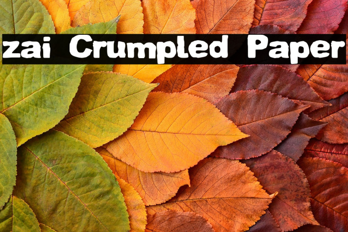 zai Crumpled Paper Example 2