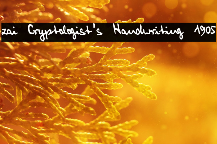 zai Cryptologist's Handwriting 1905 Example 1