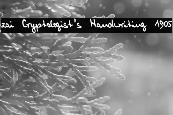 zai Cryptologist's Handwriting 1905 Font examples