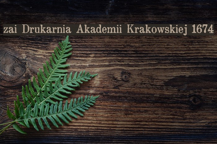 zai Drukarnia Akademii Krakowskiej 1674 Font examples