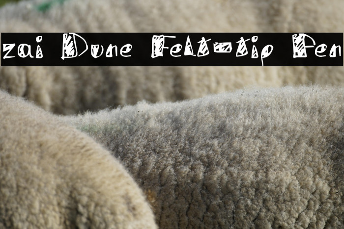 zai Dune Felt-tip Pen Example 1