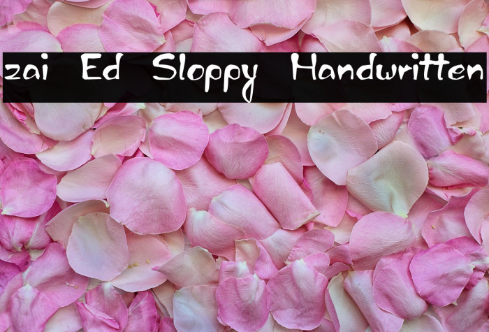 zai Ed Sloppy Handwritten Example 1