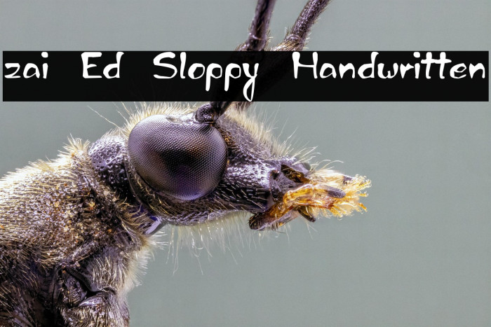 zai Ed Sloppy Handwritten Example 2
