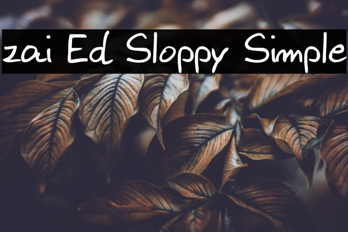 zai Ed Sloppy Simple Example 2