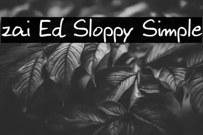 zai Ed Sloppy Simple Font examples
