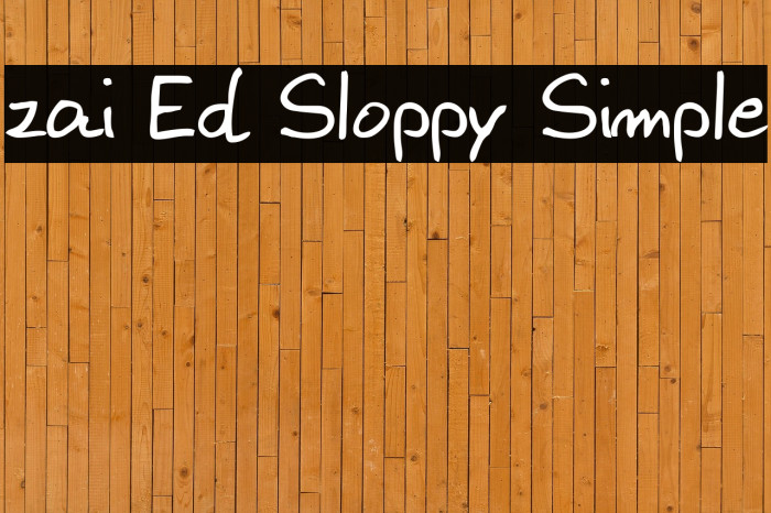 zai Ed Sloppy Simple Example 3