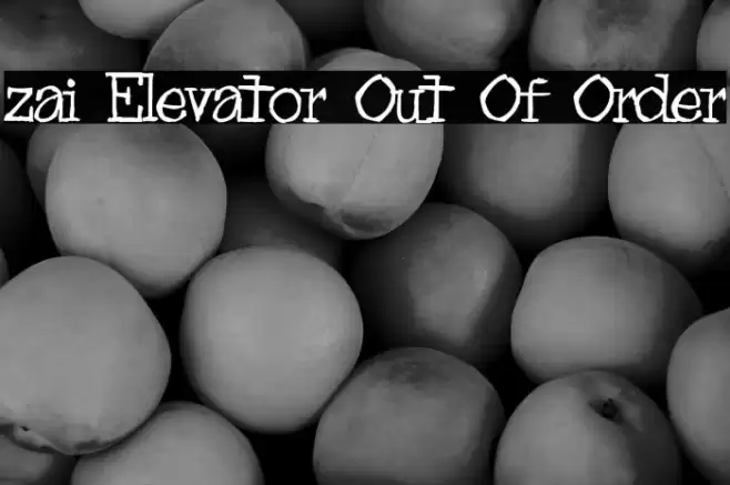 zai Elevator Out Of Order Font examples