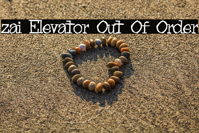 zai Elevator Out Of Order Example 3