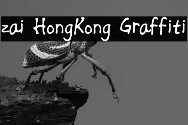zai HongKong Graffiti Font examples