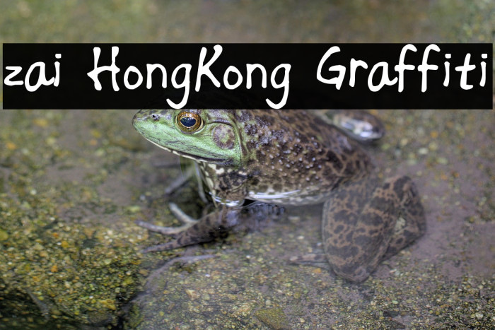 zai HongKong Graffiti Example 2