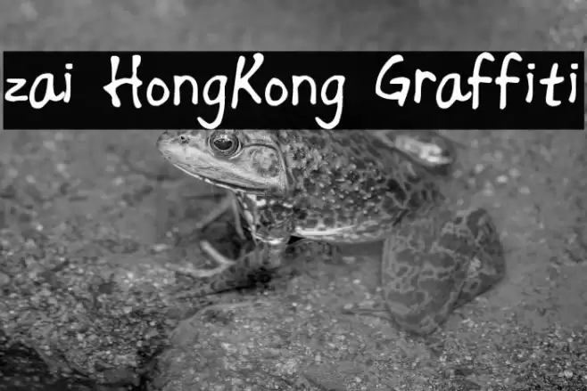 zai HongKong Graffiti Font examples