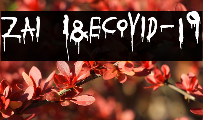 zai I&eCovid-19 Example 2