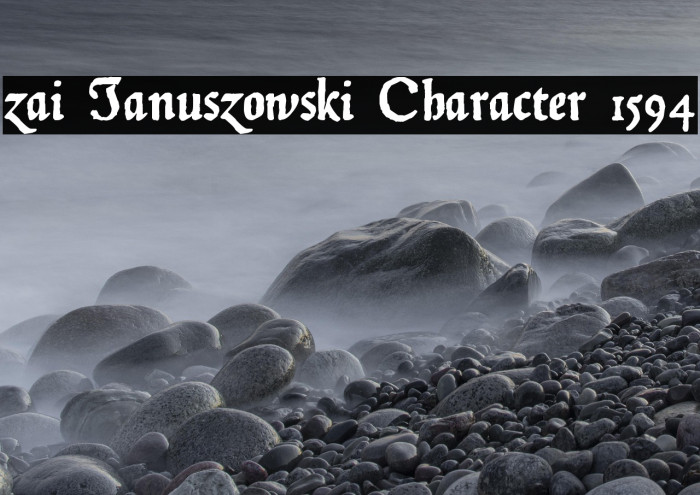 zai Januszowski Character 1594 Example 1