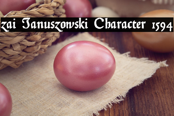 zai Januszowski Character 1594 Example 2