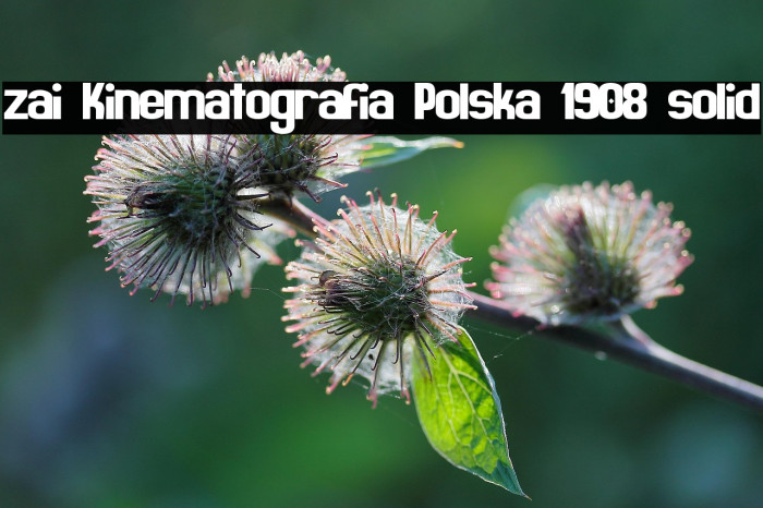 zai Kinematografia Polska 1908 solid Example 3