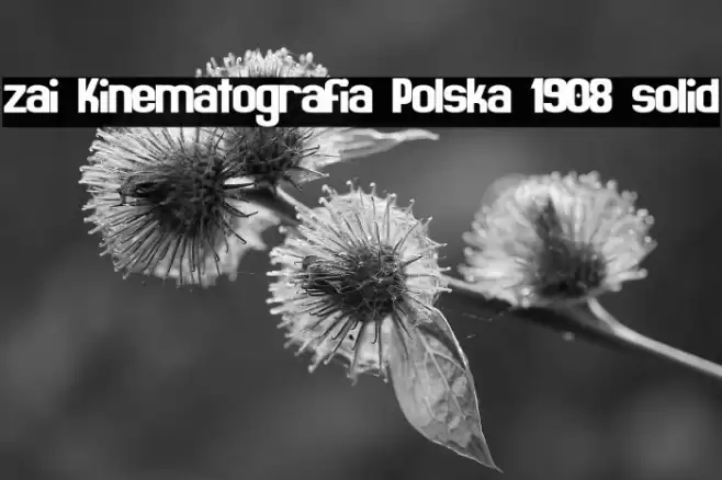 zai Kinematografia Polska 1908 solid Font examples