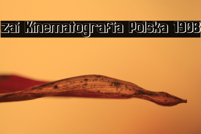 zai Kinematografia Polska 1908 Example 2