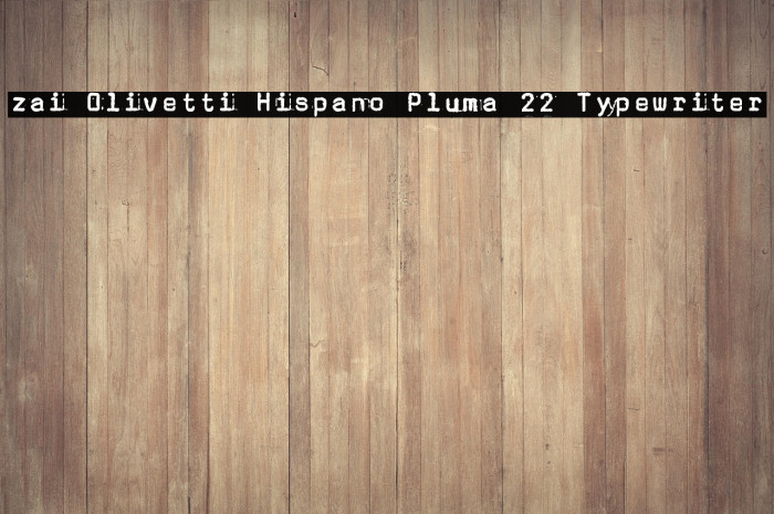 zai Olivetti Hispano Pluma 22 Typewriter Example 3