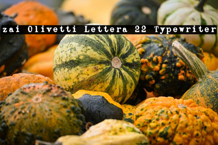 zai Olivetti Lettera 22 Typewriter Example 1