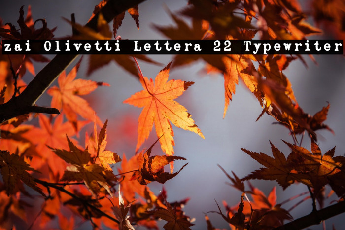 zai Olivetti Lettera 22 Typewriter Example 3
