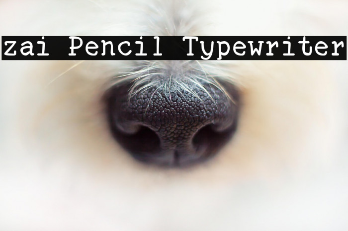 zai Pencil Typewriter Example 2