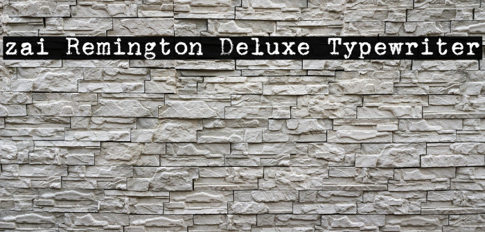 zai Remington Deluxe Typewriter Example 2