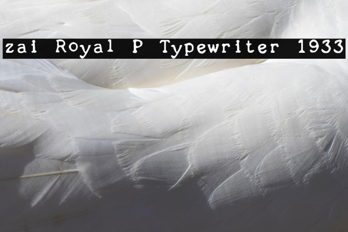 zai Royal P Typewriter 1933 Example 1