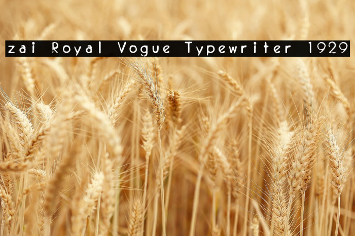 zai Royal Vogue Typewriter 1929 Example 2