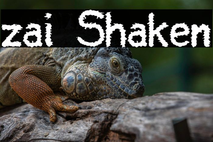 zai Shaken Example 2
