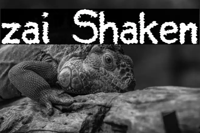 zai Shaken Font examples