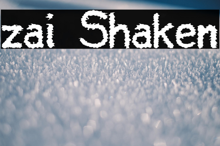 zai Shaken Example 3