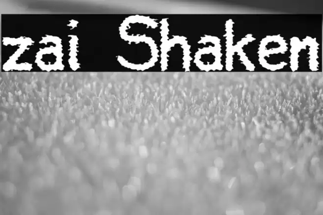 zai Shaken Font examples