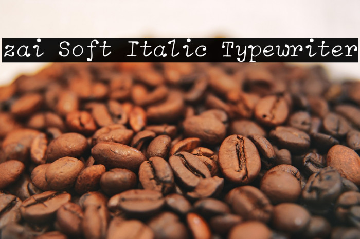 zai Soft Italic Typewriter Example 3