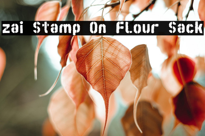 zai Stamp On Flour Sack Example 2