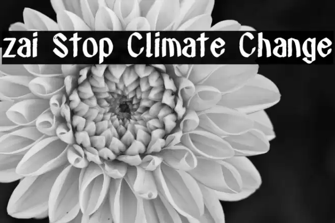 zai Stop Climate Change Font examples