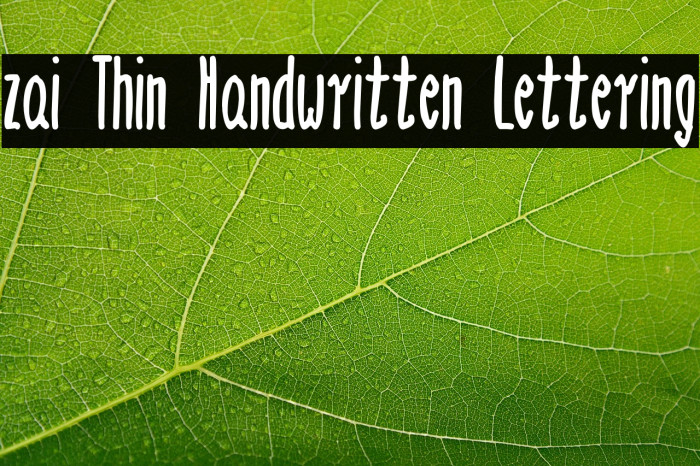 zai Thin Handwritten Lettering Example 1
